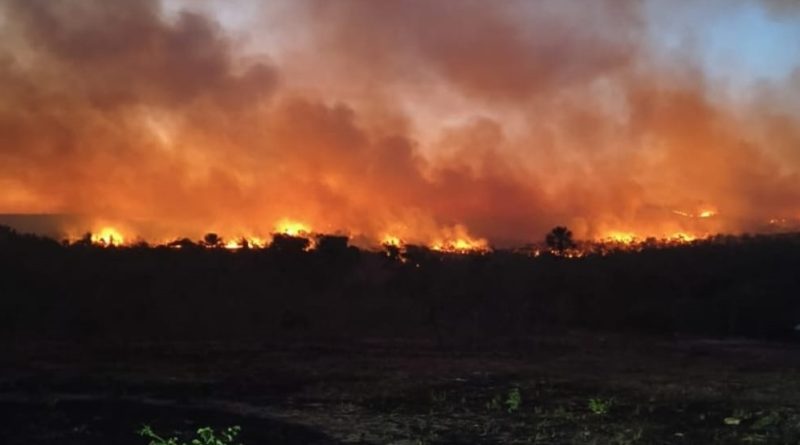 Piauí registra mais de 1mil focos de incêndio em agosto; Floriano lidera lista