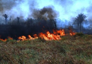 Fogo em Corrente atinge área equivalente a 16 mil campos de futebol; 214 focos ativos