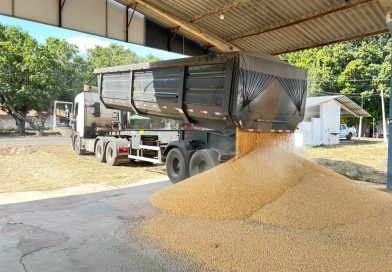 Polícia apreende 500 kg de cocaína escondidos em carga de milho em Teresina