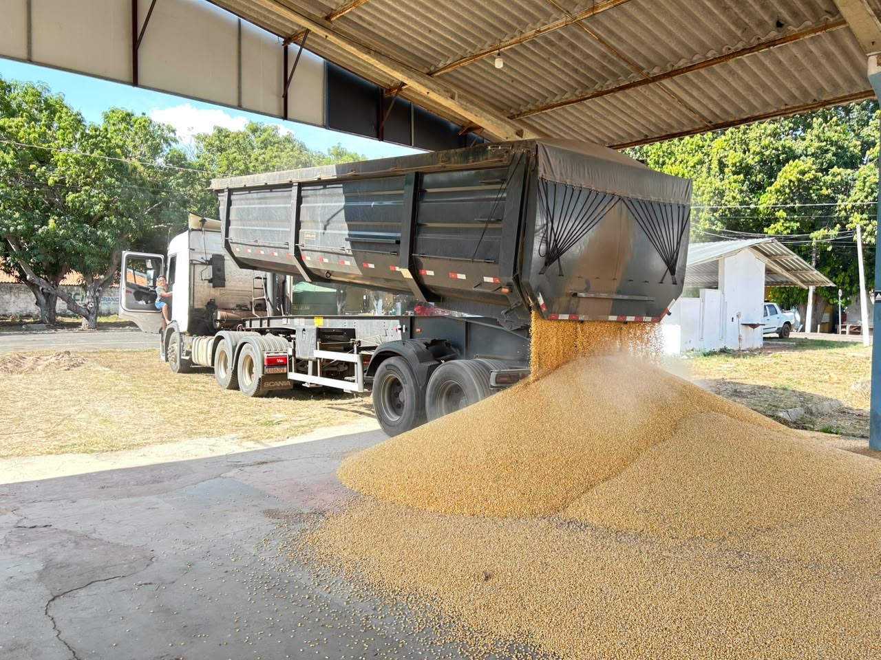 Polícia apreende 500 kg de cocaína escondidos em carga de milho em Teresina