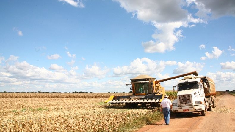 Nove municípios concentram 80% do valor da produção agrícola do Piauí;veja quais