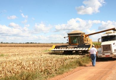 Nove municípios concentram 80% do valor da produção agrícola do Piauí;veja quais