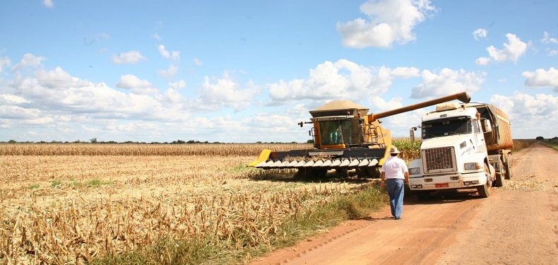 Nove municípios concentram 80% do valor da produção agrícola do Piauí;veja quais