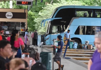 Eleições 2026: veja como consultar linhas e horários dos ônibus gratuitos no Piauí