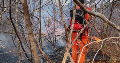 Incêndios chegam ao 9º dia e bombeiros enfrentam dificuldades em Bom Jesus; região tem 14 focos de fogo