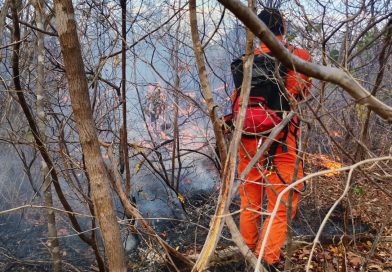 Incêndios chegam ao 9º dia e bombeiros enfrentam dificuldades em Bom Jesus; região tem 14 focos de fogo