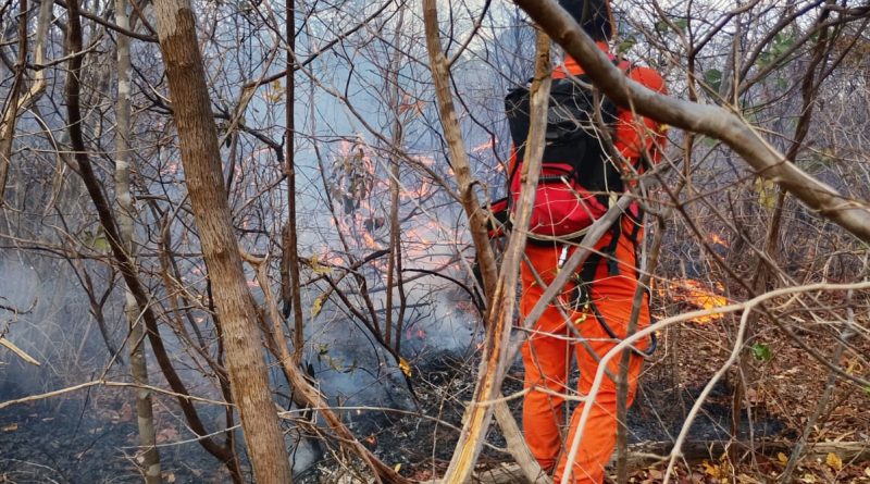 Incêndios chegam ao 9º dia e bombeiros enfrentam dificuldades em Bom Jesus; região tem 14 focos de fogo