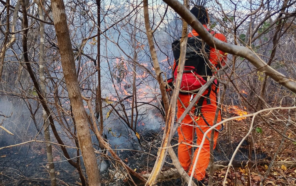 Incêndios chegam ao 9º dia e bombeiros enfrentam dificuldades em Bom Jesus; região tem 14 focos de fogo