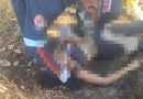 Mulher é atingida por três tiros no rosto em Parnaguá; namorado é suspeito